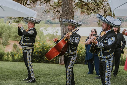 Mariachi Al Son De Mexico-Cumpleaños