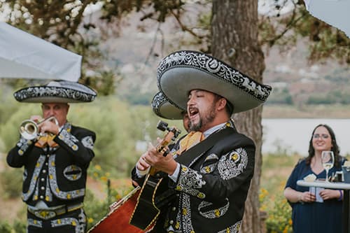 Mariachi Al Son De Mexico-Cumpleaños